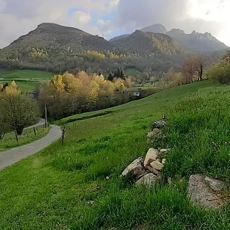 Habas Estaing Hautes Pyrenees Val D'azun Daire