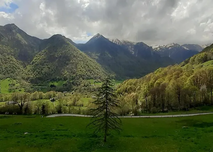 Appartement Habas Estaing Hautes Pyrénées Val D'azun Estaing (Hautes-Pyrenees)