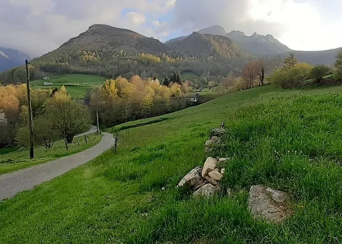 Habas Estaing Hautes Pyrénées Val D'azun Appartement
